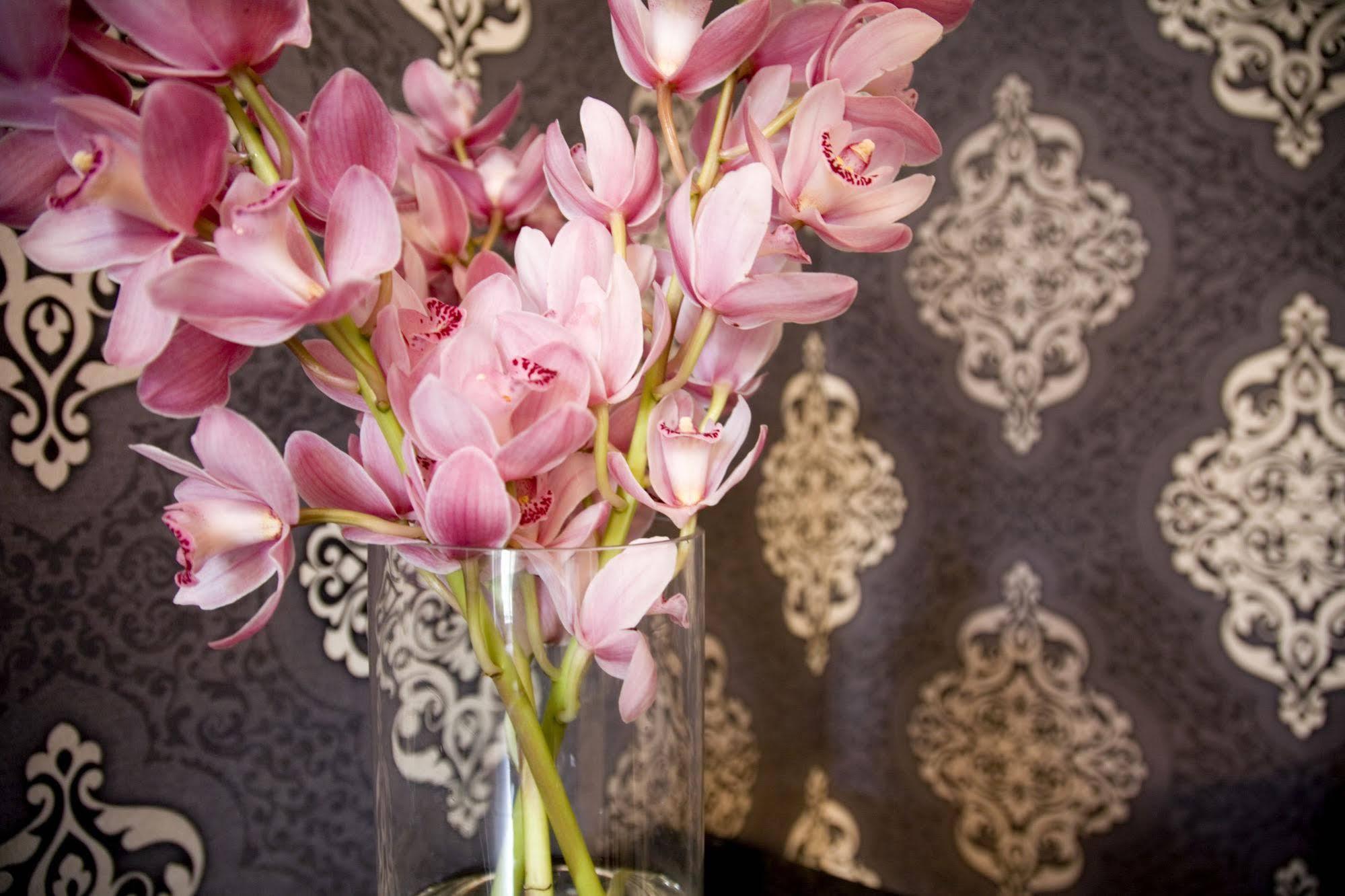 Hotel Challis Potts Point Сидни Екстериор снимка